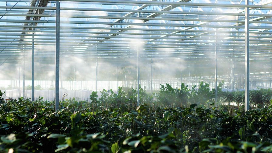 How to Start Talking About Water Circularity in Your Greenhouse